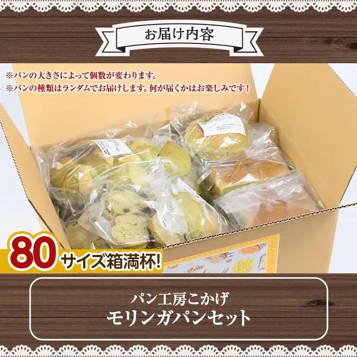 モリンガパン 詰め合せ 14個前後 80サイズ 国産 パン ラスク 冷凍 手作り 【パン工房こかげ】A65001