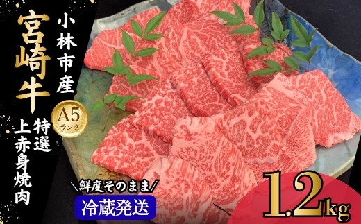 
                  【新鮮チルド発送!!】A5等級宮崎牛特選上赤身焼肉 1.2kg（黒毛和牛 牛肉 宮崎牛 赤身 焼肉用 宮崎県）
                