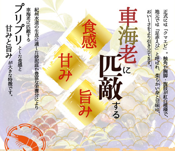 紀州和歌山産天然足赤えび540g（270g×2パック）化粧箱入 ※2024年11月上旬～2025年2月上旬頃順次発送予定（お届け日指定不可）／海老 エビ えび クマエビ 足赤 天然 おかず【uot77