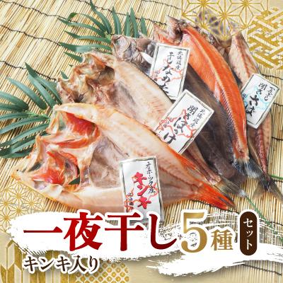ふるさと納税 北見市 一夜干し5種(各1枚)セット(キンキ入り)