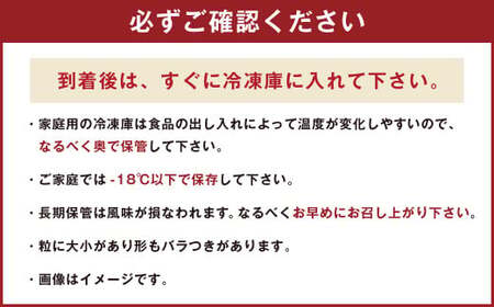 福岡県産 冷凍あまおう500g×3 合計1.5kg いちご 苺 フルーツ 国産【2026年4月上旬より順次発送予定】
