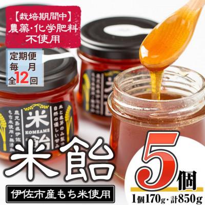 ふるさと納税 伊佐市 【毎月定期便】米飴(計850g・170g×5個)　伊佐市産もち米使用全12回