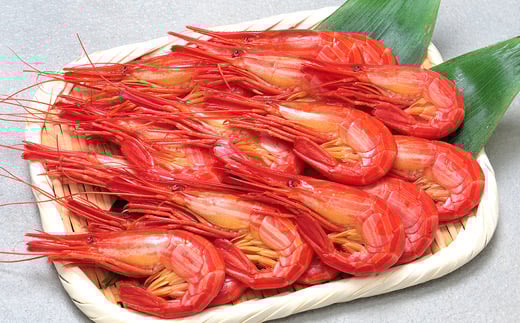 A-06010 【北海道根室産】北海しまえび400g(19～24尾)