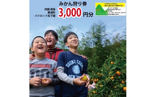パイロット松下園 みかん狩り券 3000円分