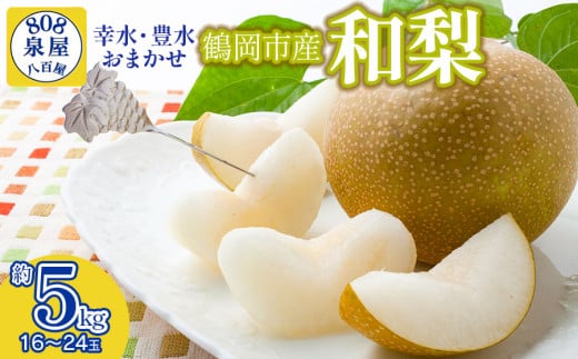 【令和8年産先行予約】鶴岡市産 和梨（品種おまかせ）幸水・豊水のどちらか1種 約5kg（16～24玉）　K-836　泉屋商店