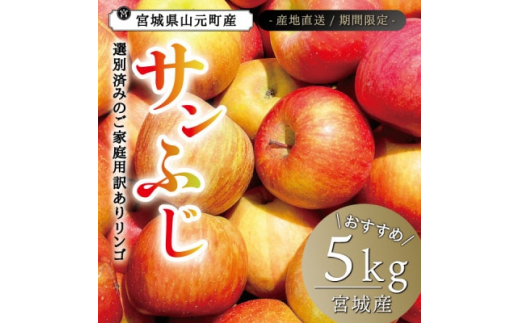 
宮城県産 ご家庭用 サンふじ5kg(11～20玉入り)生産者選別済みのリンゴ【1461381】
