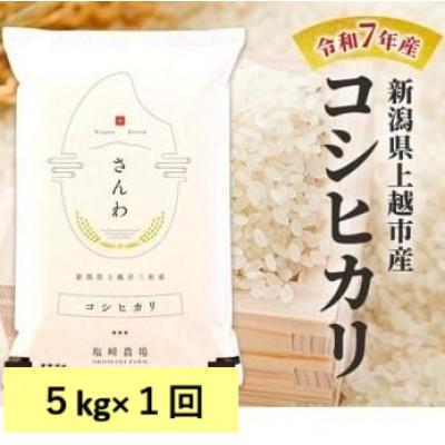 ふるさと納税 上越市 【10月中旬より順次出荷】令和7年産　新潟県上越市産　コシヒカリ　白米　5kg