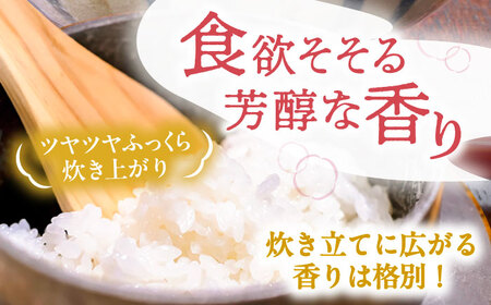 あいちのかおり 白米 10kg / 戸倉トラクター[AECS002-05]