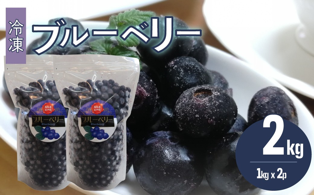 
            【ブルーベリー（冷凍）2kg】　高知県 佐川町 果物 フルーツ 国産  冷凍ブルーベリー 常備果物　＜４～６ヶ月程度で発送予定（申込状況により遅れる場合があります）＞
          