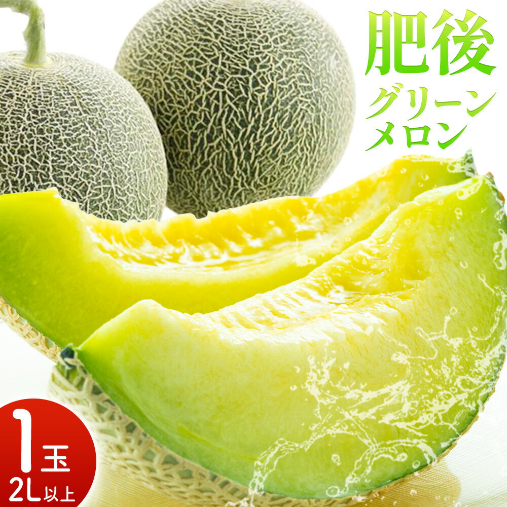 【ふるさと納税】肥後グリーンメロン 1玉 2L以上【メロンドーム】 メロン 果物 フルーツ 九州産 熊本県産 送料無料【2026年5月中旬頃より出荷】【先行予約】