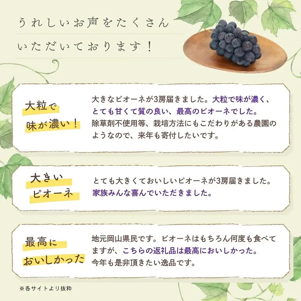 岡山産ニューピオーネ 約2kg（3～4房） 種無し 除草剤不使用 ピオーネ 【hana006-03】