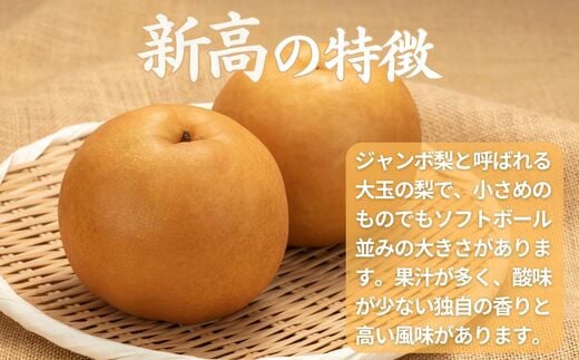 画像はイメージです。