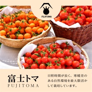 FUJITOMA　（フルーツトマト）　1kg
