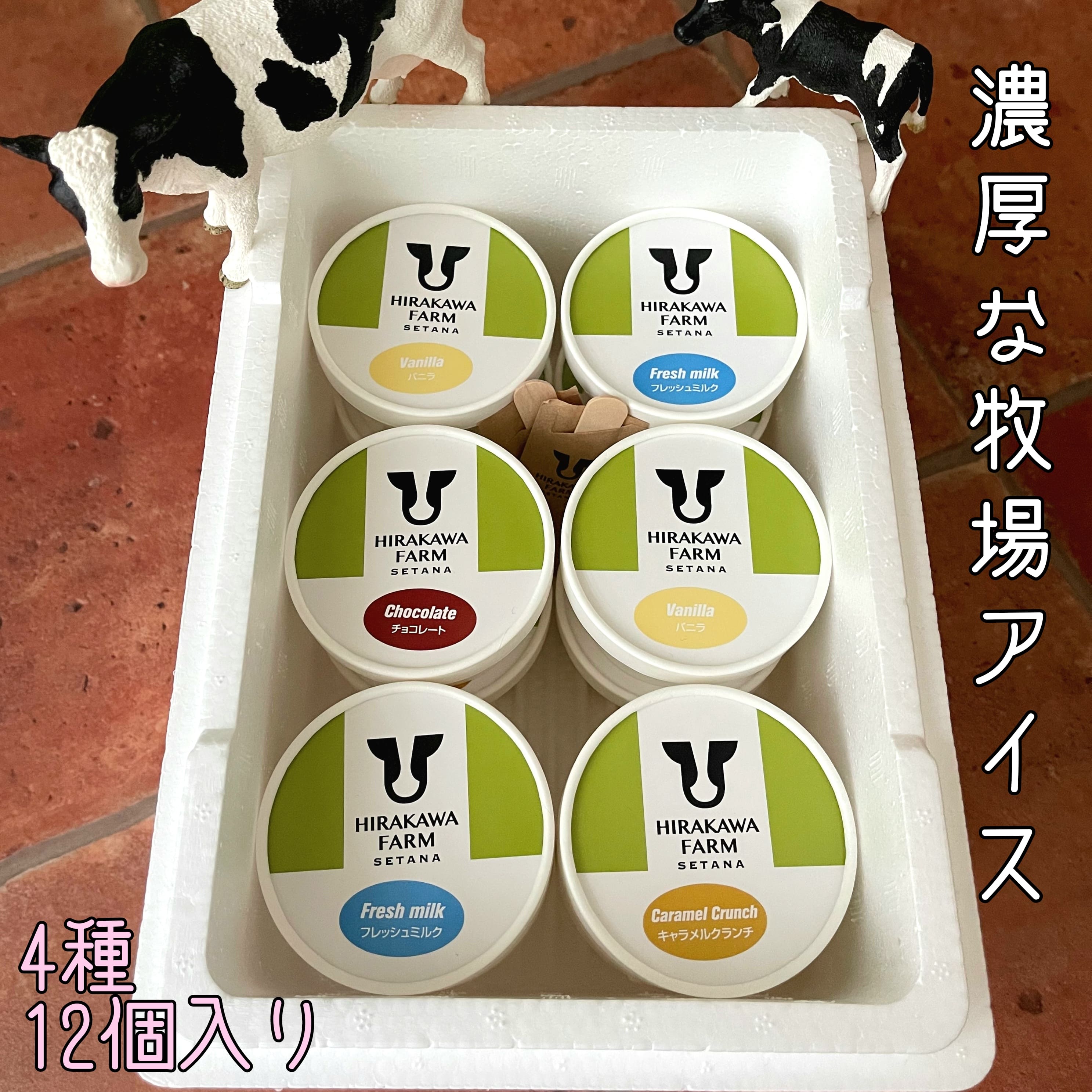 【ふるさと納税】【北海道産 搾りたて生乳使用】ひらかわ牧場 アイスクリーム 大人気の4種12個セット フレッシュミルク バニラ チョコ キャラメルクランチ デザート スイーツ お取り寄せ ギフト せたな町