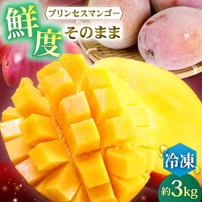 【冷凍】プリンセスマンゴー 約3kg[QAT014] マンゴー