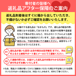 【令和7年産】白桃 品種おまかせ 3kg (8～12玉前後) ギフト箱入 秀品 山形県産 【緑茶園】