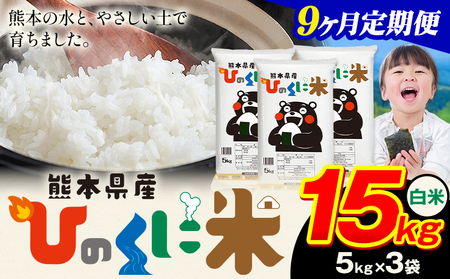 【9ヶ月定期便】 白米 ひのくに米 15kg 《お申込み翌月から出荷》 食品 米 こめ コメ 熊本県産 ふるさと納税 お米 おこめ 熊本