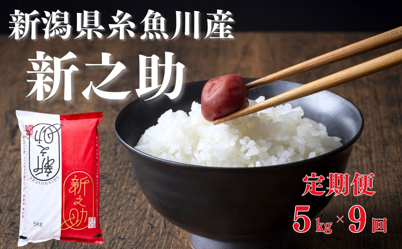 
令和6年産新米予約【定期便】新之助 5kg×9ヶ月 計45kg 早川の清流が育んだ美味しいお米 新潟県糸魚川産 2024年磯貝農場【毎月お届け しんのすけ 米 お米 こめ ご飯 ライス ふるさと納税米 食品 人気 おすすめ お弁当 おにぎり ギフト 新潟県の新しいブランド米 農家直送 5キロ 精米 9回 9か月 先行予約】
