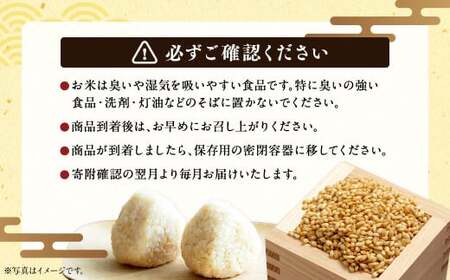 【7回定期便】浦臼産ななつぼし 玄米 10kg×1袋 | 米 お米 こめ コメ ブランド米 ごはん ななつぼし玄米 定期 定期便 北海道産 浦臼産 北海道 浦臼町