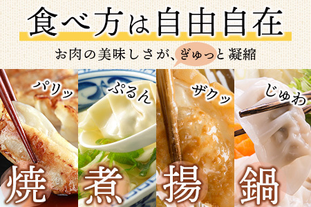 　佐賀産牛・佐賀産豚の手作りギョーザ　５パック B-86