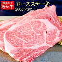 【ふるさと納税】ロースステーキ 600g 200g×3枚 あか牛 赤牛 三協畜産 《60日以内に出荷予定(土日祝除く)》