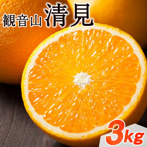 【ふるさと納税】観音山清見 3kg (約15玉-21玉前後) 有限会社柑香園《2026年2月中旬-3月上旬頃出荷》和歌山県 紀の川市 フルーツ 果物 柑橘 みかん オレンジ