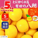 【ふるさと納税】八朔 (はっさく) とにかく 小玉 箱込 5kg(内容量約 4.4kg) 秀品 優品 混合 Sサイズ以下 和歌山県産 産地直送【おまけ付き】【みかんの会】 | みかん 八朔 和歌山 大玉 秀 優 産地直送 和歌山県 有田川町 ふるさと納税 返礼品 故郷納税