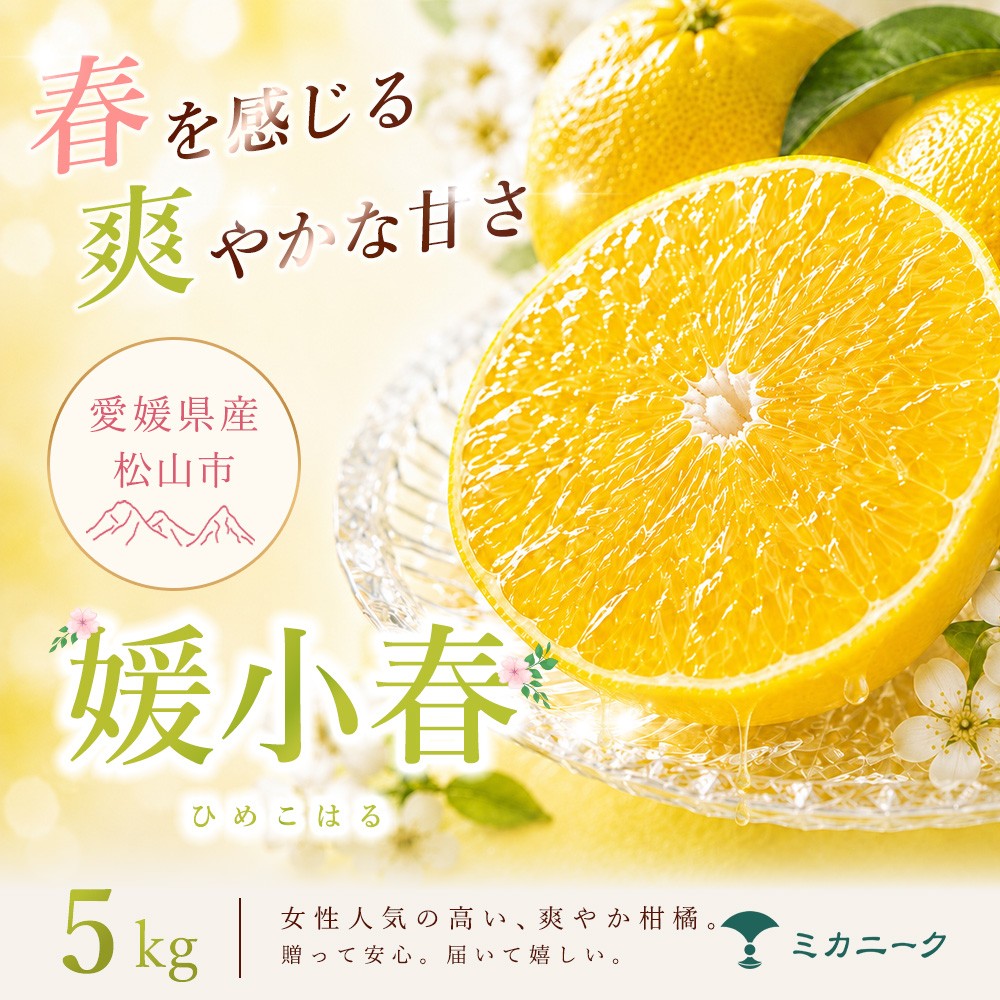 
                  【知る人ぞ知る】 驚きの甘さ 【媛小春】 5kg 愛媛県産 【2027年1月下旬頃から順次発送】 | みかん ミカン mikan 蜜柑 訳ありフルーツ 柑橘 果物 おすすめ お勧め お取り寄せ ギフト 愛媛県 松山市
                