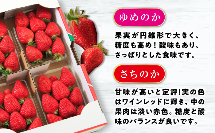 【2026年2月上旬より順次発送予定】いちご 1箱 (約250g×4P) 約1kg / いちご 苺 イチゴ フルーツ ふるーつ 果物 くだもの / 大村市 / おおむら夢ファームシュシュ[ACAA10
