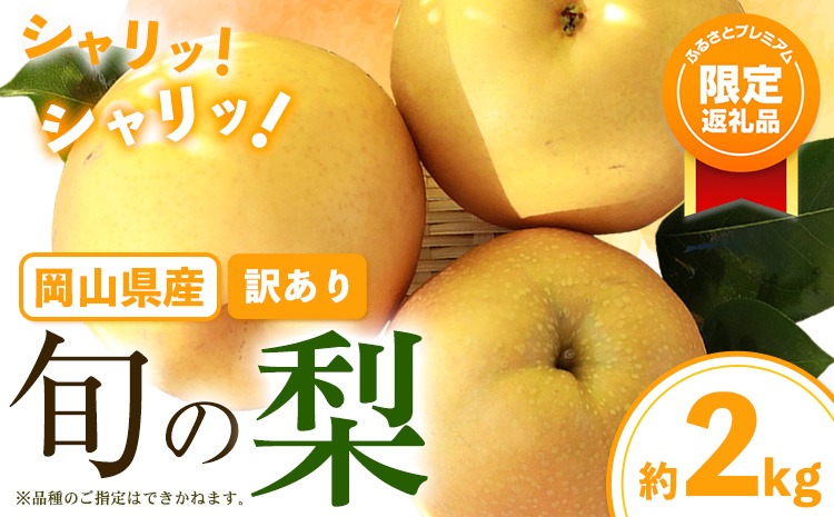 【ふるプレ限定品】 訳あり 旬の梨 約2kg 2～5玉 《9月上旬-1月上旬頃発送》岡山県産 新高梨 愛宕梨---yakage_loc_20_p---