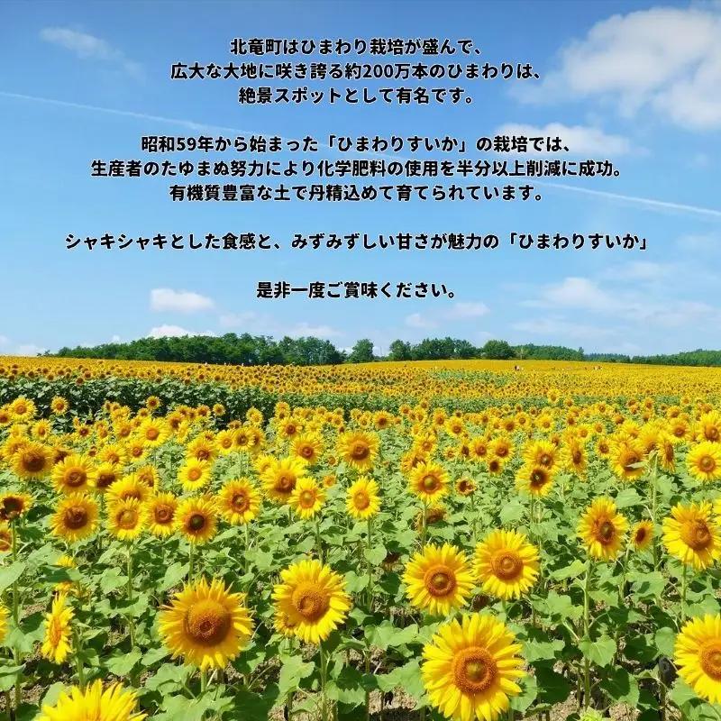 スイカ ひまわり すいか  2玉 小玉 ※8月中旬～8月下旬頃順次発送予定【sun402-2-8】 
