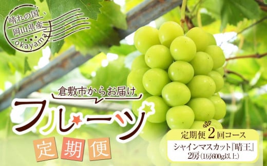 GC21【2025年先行予約】 岡山県産 シャインマスカット晴王2回定期便【シャインマスカット 果物 フルーツ 国産 人気 おすすめ 岡山県 倉敷市】