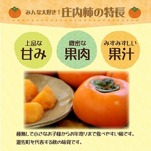1223　遊佐町産庄内柿7.5kg