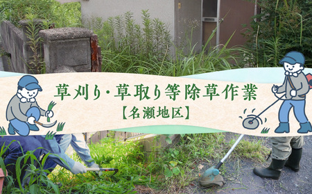 草刈り・草取り等除草作業(名瀬地区)