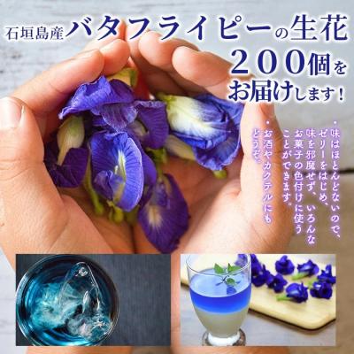 ふるさと納税 石垣市 希少!採れたて新鮮!八重咲バタフライピーの生花(食用花、生ハーブ)3月〜順次発送 |  | 02