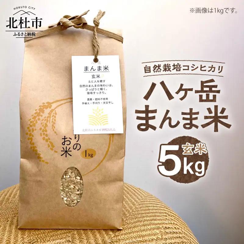 【令和7年度米】八ヶ岳 まんま米 玄米5kg（手植え・手刈り・天日干しの自然栽培コシヒカリ） [h359]
