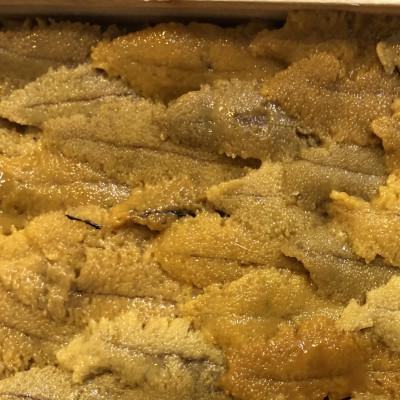 ふるさと納税 八幡浜市 八幡浜発!竹中水産の「宇和海産上質お手軽生ウニ」3枚セット!【G22-219】 |  | 03