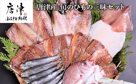 グルメ大賞受賞 唐津産 旬のひもの三昧セット 唐津産 旬サバ 旬アジみりん 金時鯛一夜干し(旬の白身魚干物)呼子 イカ一夜干し 大分産真イワシ丸干し トロあじ開き 6種17尾 干物セット 干物 海鮮