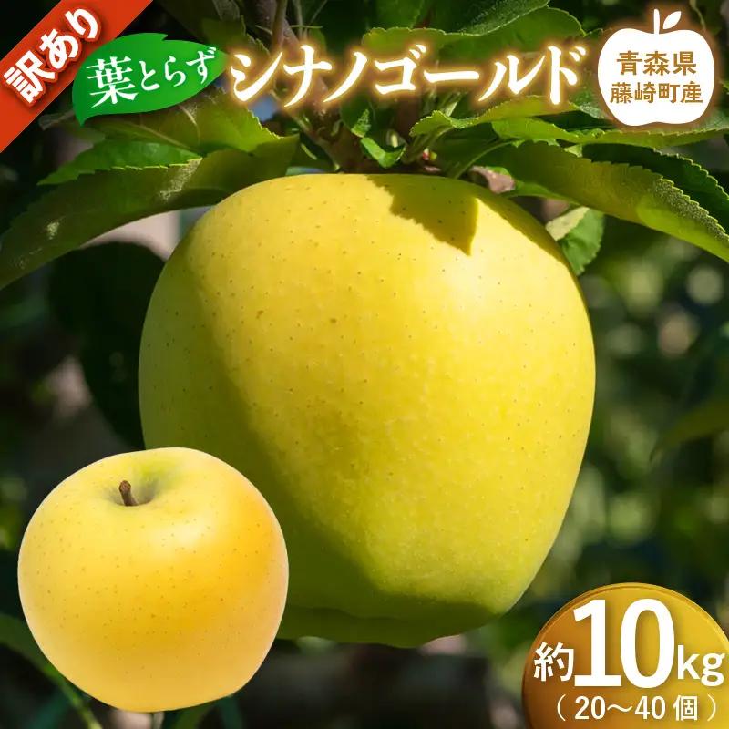 【先行予約】 ≪訳あり≫ シナノゴールド 約10kg (20～40個)【グランドアップル】 青森りんご 林檎 リンゴ 訳アリ わけあり ワケアリ ご家庭用 規格外 葉取らずりんご 発祥の地 果物 フルーツ 青森県産 藤崎町 おすすめ F41-0181
