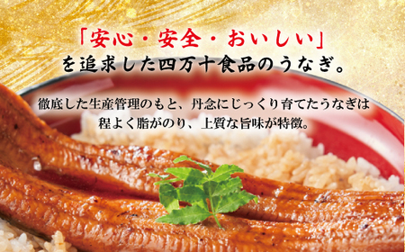 【ギフト用（包装・のし対応）】26-359G．＜四万十食品＞うなぎ蒲焼　ハーフ4袋／ＢＣ