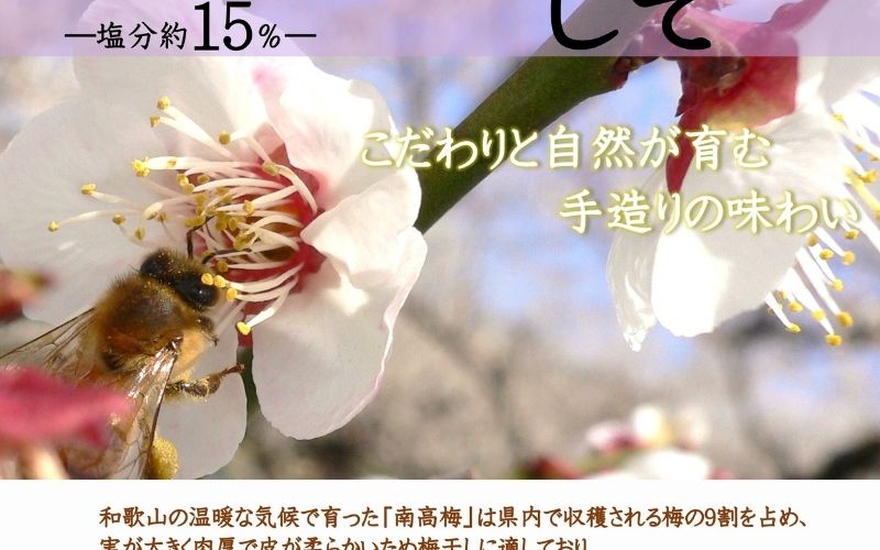 紀州南高梅 しそプレミアム塩分約6％ 850g ［YM14m］ 【yamada005A】