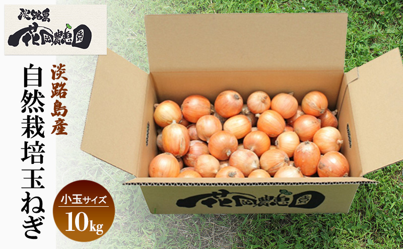 淡路島産 栽培期間中 無肥料 無農薬 自然栽培 玉ねぎ 小玉サイズ 10kg 野菜 玉葱 兵庫県 洲本市 淡路島