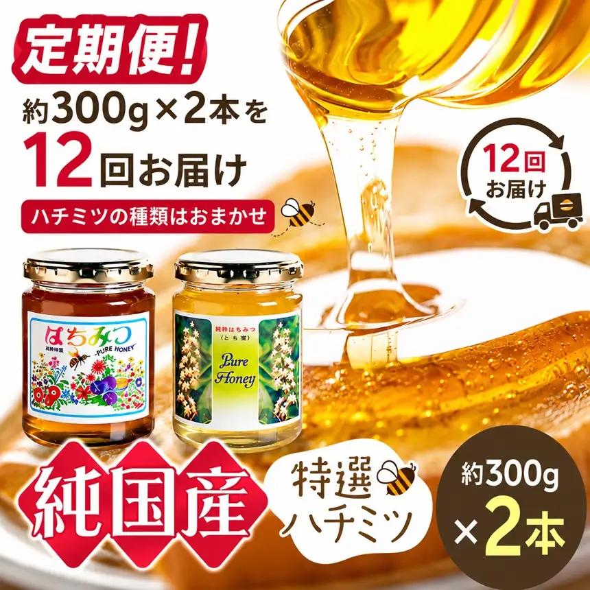 【定期便】芳川養蜂場特選ハチミツ 約300g × 2本 × 12回 | ハチミツ はちみつ 蜂蜜 国産 定期便 長野県 信州 木島平村