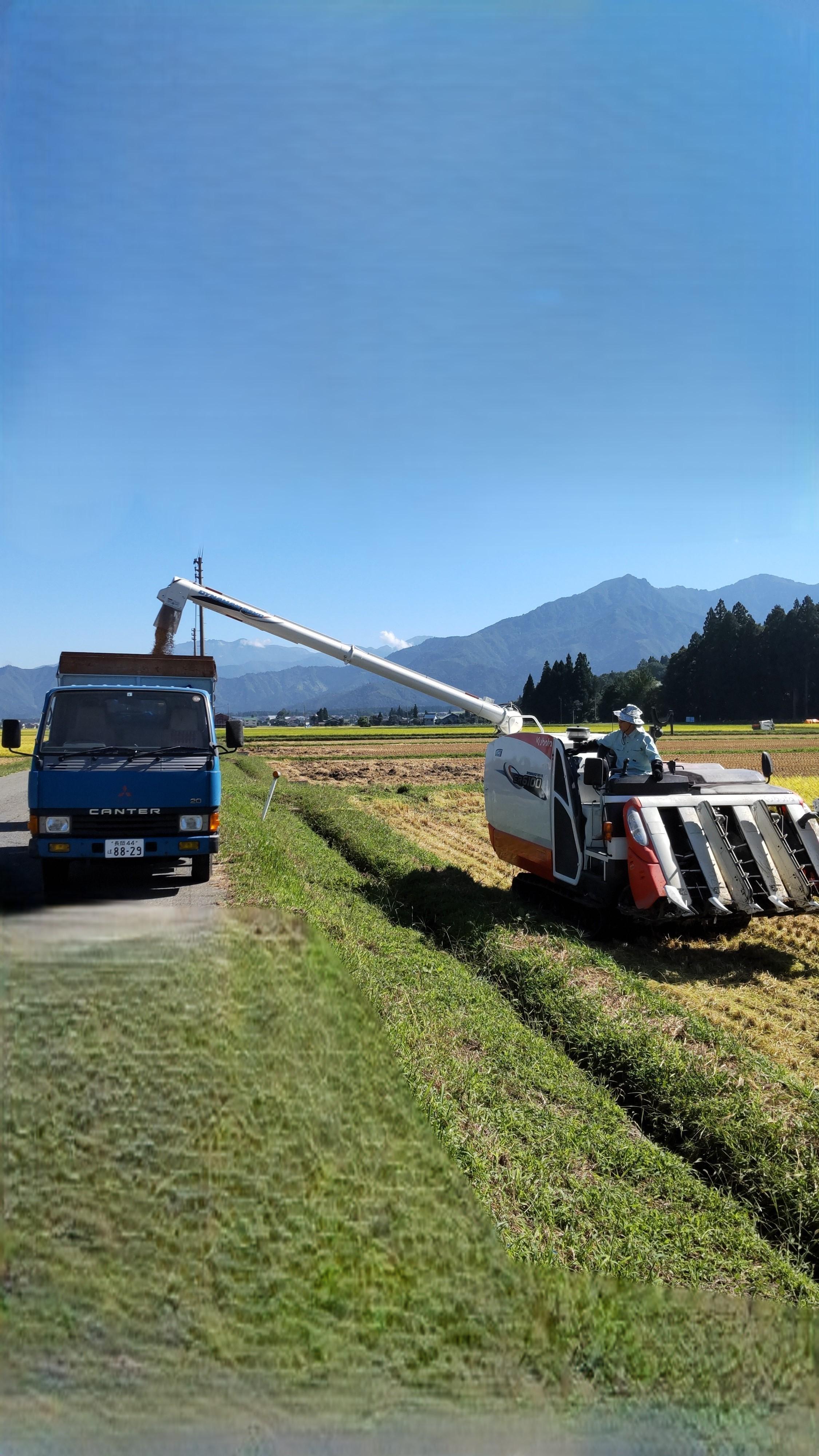 【令和7年新米】新潟県認証特別栽培米魚沼産しおざわコシヒカリ玄米5kg