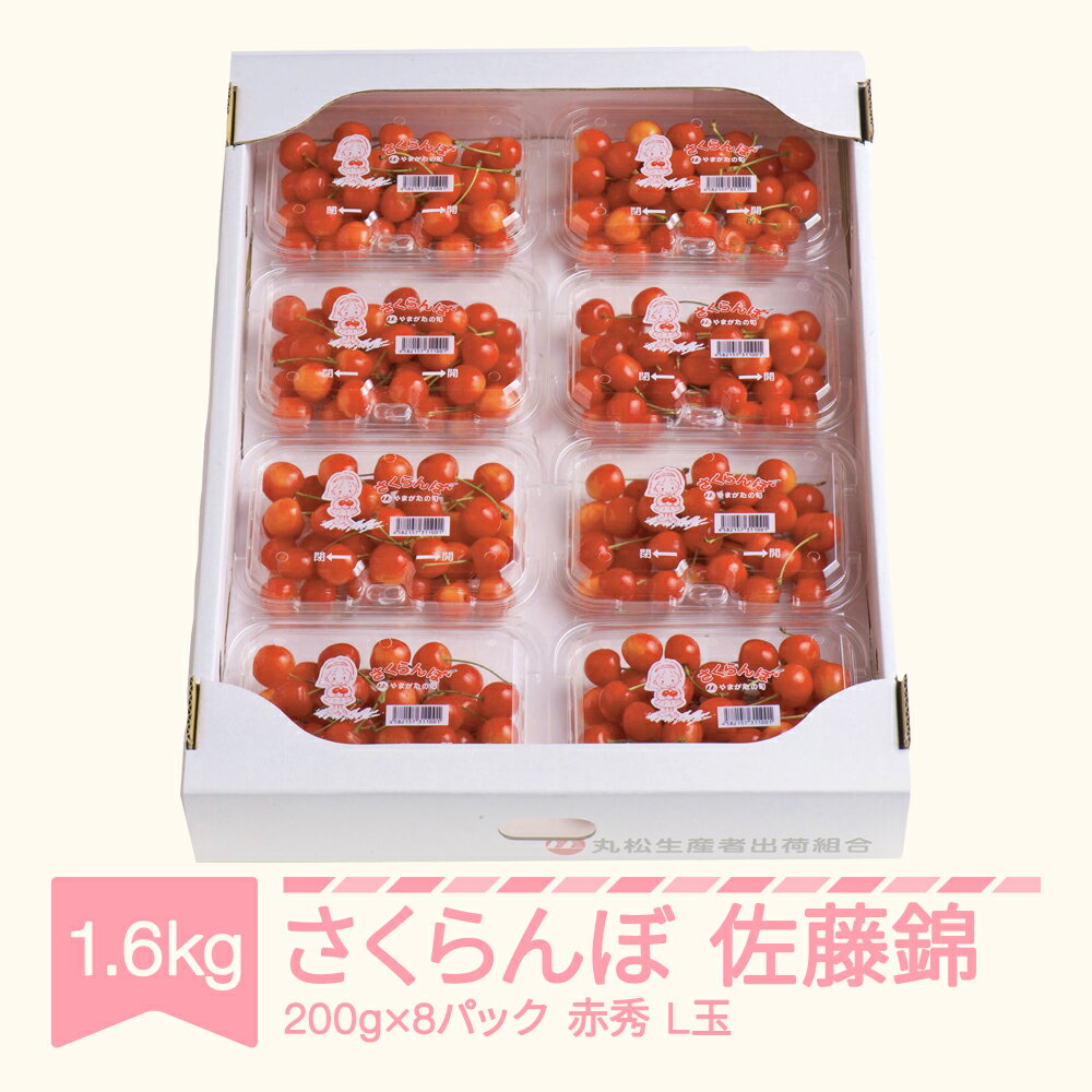  さくらんぼ 佐藤錦 赤秀品 L玉 200g×8パック 2025年産 令和7年産 山形県産