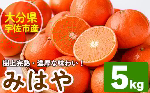 ＜先行予約受付中！2026年1月中旬から2月中旬の間に順次発送予定＞みはや(約5kg)ハウス 樹成 完熟みかん 蜜柑 柑橘 かんきつ フルーツ 果物 くだもの【111600100】【永木農園】