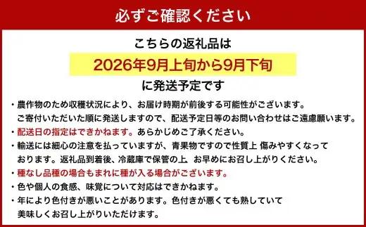 【ご家庭用】 ピオーネ 2～3房 1.2kg 【2026年9月発送予定】 ／ 果物 くだもの フルーツ ぶどう ブドウ 葡萄 大粒 甘味が強い 甘い 果汁 食べ応え 岡山県 美咲町