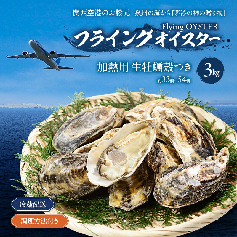 【ふるさと納税】加熱用　生牡蠣殻つき　3kg （約33個～54個）調理方法付き フライングオイスター牡蠣 春木牡蠣養殖共同事業 岸和田市　お届け：2026年2月上旬～4月中旬※自然による貝毒等により配送終了期間が早まる場合があります。