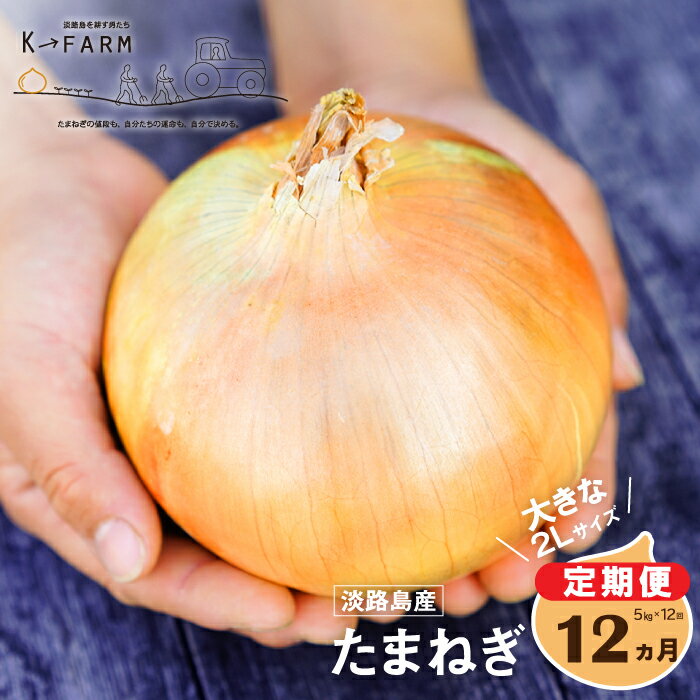 【ふるさと納税】【定期便12ヶ月】淡路島たまねぎ 大きな2Lサイズ 5kg 玉ねぎ たまねぎ 大玉 特大 国産 野菜 サラダ用 甘みたっぷり 産地直送 人気 高評価