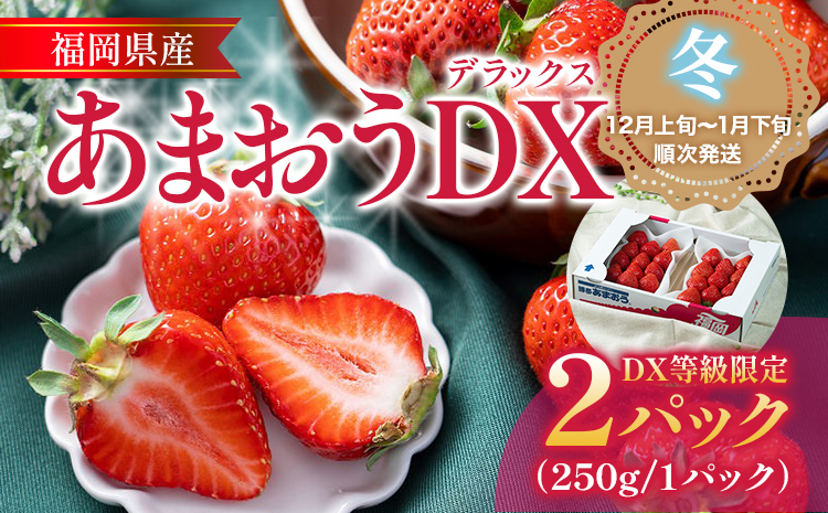福岡産【冬】あまおうDX（デラックス）2パック いちご 苺 果物 フルーツ 九州産 福岡県産 冷蔵 送料無料 【12月上旬発送開始予定】 イチゴ フルーツ 果物 くだもの ブランド 国産 甘味 果汁